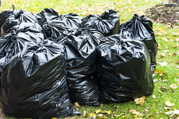 Black trash bags in the park in early autumn.