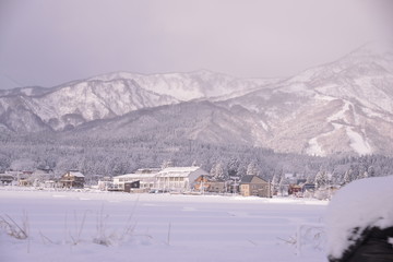 landscape of snow