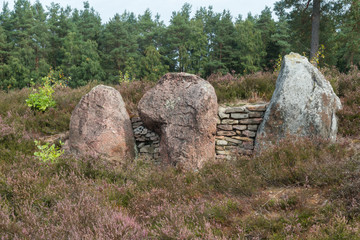 Oldendorfer Totenstatt in der Lüneburger Heide