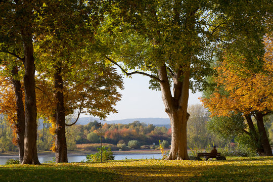 Herbststimmung im Schlosspark in Neuwied am Rhein