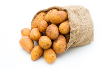 A bio russet potato isolated white background.