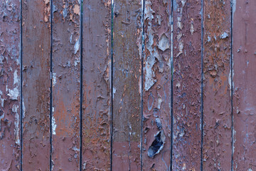 Texture of weathered wooden boards with cracked paint  as background, horizontal