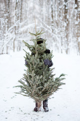 Cute boy with a Christmas tree in his hands, winter, new year, forest