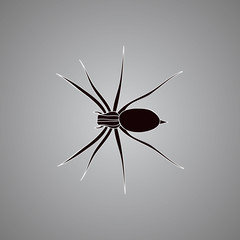insect, spider icon, silhouette