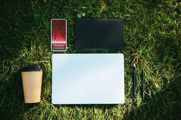 top view of smartphone with trading courses appliance and coffee in paper cup on green grass in park
