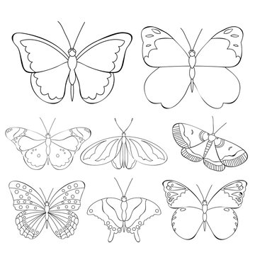 isolated, set of children's butterfly coloring book
