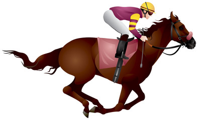 Derby, Equestrian sport horse and rider in vector variant 8, Thoroughbred horse, gambling, The Sport of Kings
