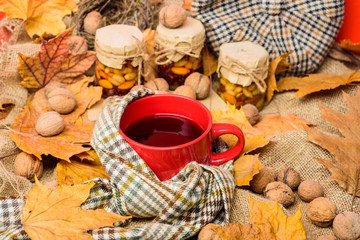 Cozy autumnal atmosphere. Warming beverage concept. Mug of tea surrounded by scarf red background with fallen maple leaves and walnuts. Mug cozy aromatic tea beverage in scarf and treats