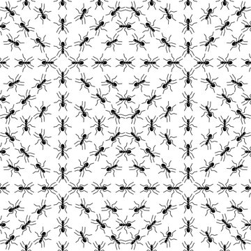 Illustration of ants on a white background. Vector.