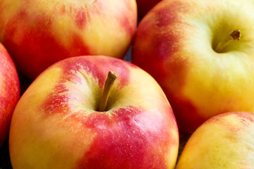 Close-up of multiple red yellow sweat soft organic apples with apple stalks