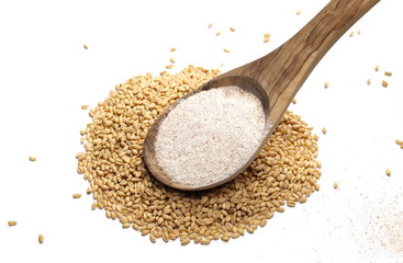 Integral wholewheat flour and wheat grains, kernels with wooden spoon isolated on white background