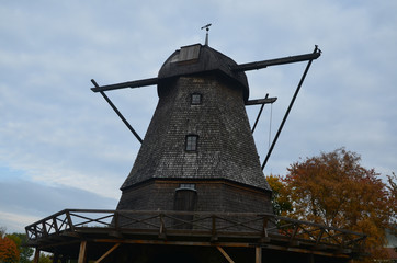 Autumn Colors Outdoor