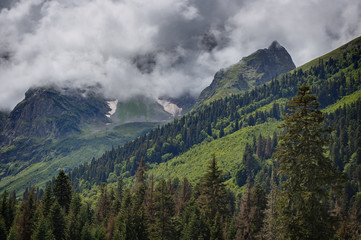 Clouds over the tops of the rocky mountains overgrown with trees. Photographed in the Caucasus, Russia.