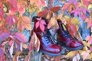 shoes for autumn leaves 