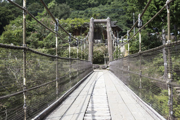 Fototapeta na wymiar wood bridge in the Forest