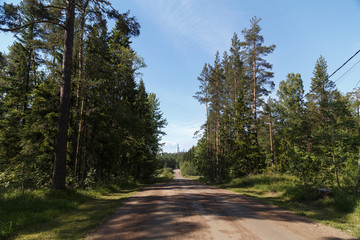 Obraz premium road in the forest