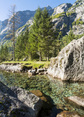 Fototapeta na wymiar Alpine valley with stream, pine forest and rock faces. Val di Mello, Valtellina, Italian Alps. This valley is famous for sport climbing.