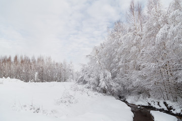 winter landscape with trees