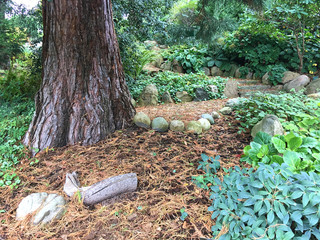 Garden decoration with path