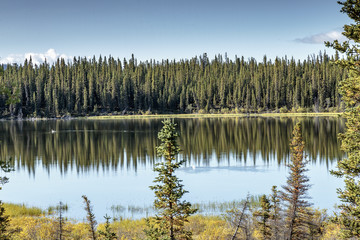 Aishinik lake near Haines Junction Yukon Canada