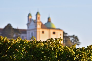 Leopoldsberg Kirche hiter den Weingüter