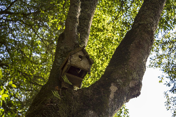 Wooden birdhouse on tree