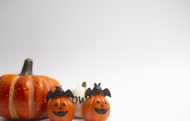 Halloween holiday pumpkins and others on white background