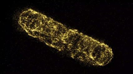 Animation with particles in gold ring shape. Science concept backdrop.