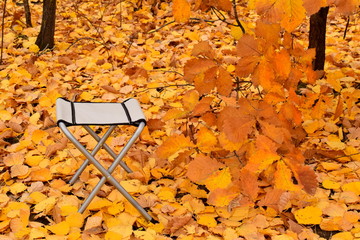 Relax in the autumn forest. Portable chair under a small oak tree in the forest. Around all strewn...