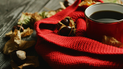 Closeup shot of dry autumn leaves and fresh nuts lying on wooden table near warm knitted scarf and mug of aromatic hot drink