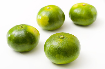 青切り温州みかん