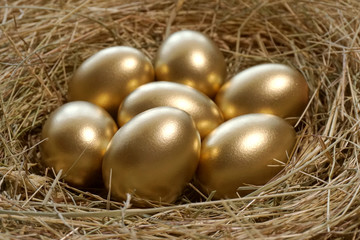 Fototapeta na wymiar Golden eggs in nest. Golden eggs in close-up