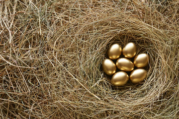 Golden eggs in nest. Straw Background