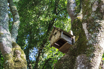 Wooden birdhouse on tree