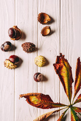 flat lay with chestnuts and dry leaves on white wooden tabletop