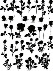 twenty nine rose silhouettes on white