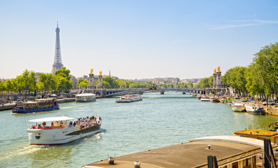 Eiffel Tower and Pont Alexandre III over Seine River, Paris