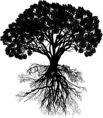 Naklejka premium czarne pojedyncze drzewo z korzeniem i grubym pniem