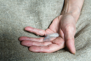 A light feather on the hand of an old woman.