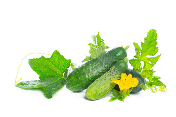 cucumber with leaf and flower natural vegetables organic food isolated on white background