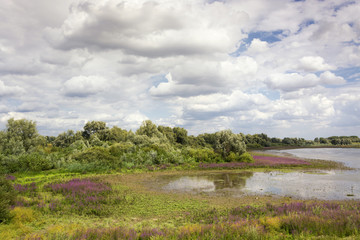 Beautiful scenic view on the area of the Groenlanden and the Oude Waal in the Ooijpolder near Nijmegen. Clouds, sunshine, vegetation and water together makes it an attractive image