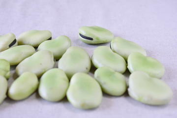 そらまめ　インタビュー　目なし（73）