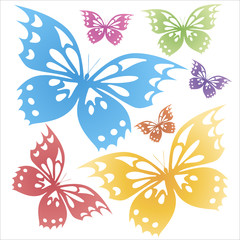Butterflies colorful on the white background. T-shirt print