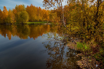 September landscape near the forest lake in the autumn day