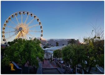 Ferris and Cape Town