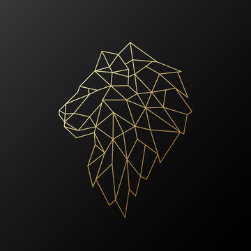 Golden polygonal Lion illustration isolated on black background. Geometric animal emblem. Vector illustration.