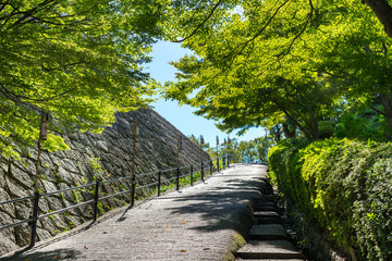 丸亀城　天守のある山上に向かう坂道(香川県丸亀市)