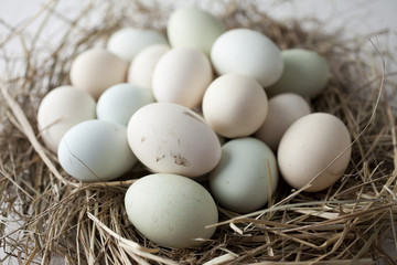 lot of eggs in multiple colors