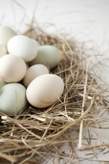 lot of eggs in multiple colors