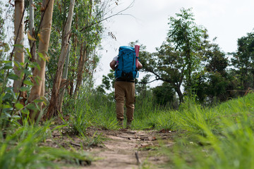 Obraz premium traveler with backpack walking in outdoor forest scenery. travel, adventure.
